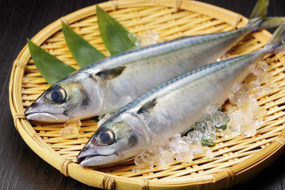 白身魚 と 赤身魚 と 青魚 の違い どんな種類や栄養の違いがあるの 違いの百科事典